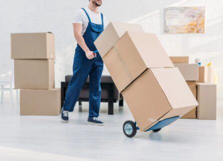 movers13_1200x800_q90